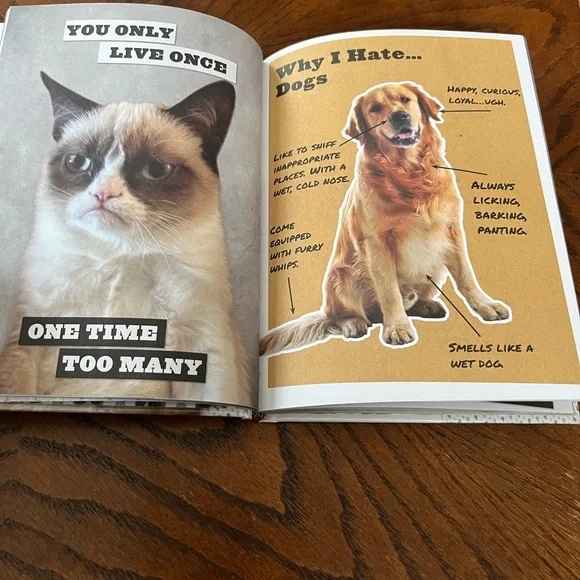 Grumpy Cat Book | hardcover - Picture 6 of 10